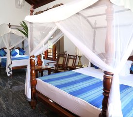 6 Tage Erd- und Luft-Intensivkurs Retreat mit Hatha- und Aerial Yoga in Galle, Sri Lanka - Photo 4
