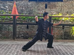 20 Sessions of Online Yang Style Tai Chi 24-Form  Private Course
