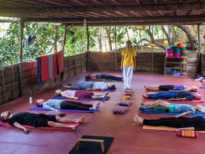 Day 14 - Mindful Hatha Yoga Workout - 30 Days of Yoga 