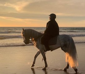 8 jours en stage d'équitation avec étirements yoga dans un riad en bord de mer, Agadir, Maroc - Photo 2