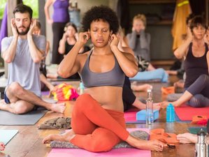 29 Day 300-Hour Meditation and Yoga Nidra Teacher Training Course in Tabanan, Bali Indonesia