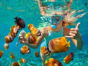 4 Day Ultimate Getaway: Ubud Market, Kecak Dance, Cooking Class, Rafting, and Massage in Indonesia