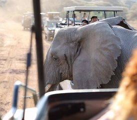 23 jours safari camping privé tout compris sur le circuit nord de la Tanzanie, Tanzanie - Photo 1