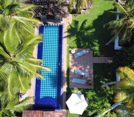 9 días de relajantes vacaciones de yoga cerca de las playas y selvas tropicales en Ahangama, Sri Lanka - Photo 3