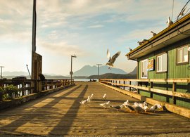 Vancouver Island Retreats & Trips