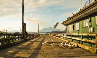 isla de Vancouver Retiros y Viajes