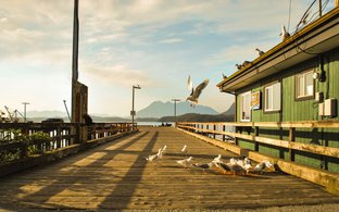 Vancouver Island Retreats und Reisen