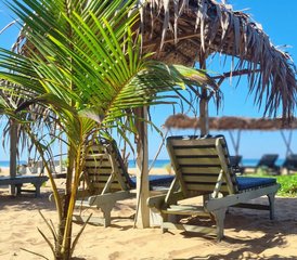 7 Day Christmas Yoga Retreat in Bentota Area, Sri Lanka - Small Group by The Beach - Photo 4