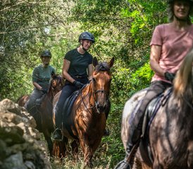 8 Tage Reiturlaub mit Zentrum Reiten in Mallorca, Spanien - Photo 3