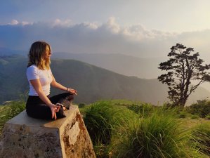 28 Day 200-Hour Hatha, Vinyasa and Raja Yoga Teacher Training in Kerala