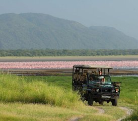 37 jours en stage de safari des chimpanzés à la Grande Vallée du Rift au Kenya - Photo 1