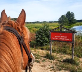 118 Tage Reiturlaub auf dem Land durch Grenzdörfer in Masowien-Podlachien, Polen - Photo 1
