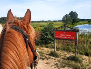 8 Tage Reiturlaub auf dem Land durch Grenzdörfer in Masowien-Podlachien, Polen