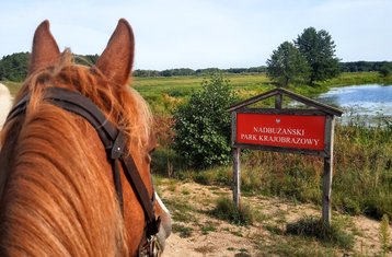 8 Day Mazovia-Podlachia Countryside Horseback Riding Holiday Through Borderland Villages in Poland