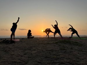 24 días de formación de profesorado de yoga de 200 horas multistilo en Kerala, India