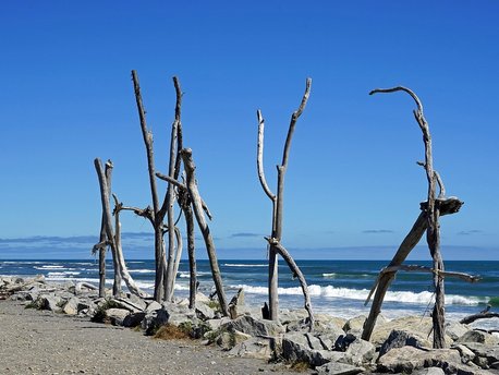 Westküste, Neuseeland