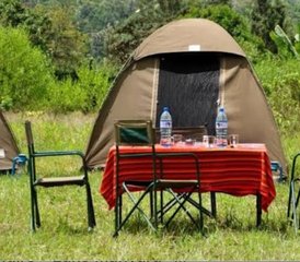 3 Tage Tansania-Safari im Serengeti-Nationalpark und im Ngorongoro-Krater - Photo 4