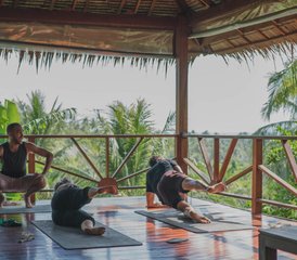 7 días de retiro de yoga y meditación en Phuket, Tailandia enfocado en integrar las energías - Photo 2