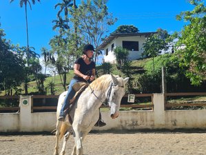 7 Day Riding Course: Natural Horsemanship & Classical Riding Tucurrique, Cartago, Costa Rica