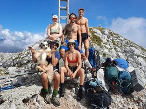 6 Day Wild Alpine Retreat: Vegan Cooking, Fermentation, Foraging and Trekking in Rovetta, Italy