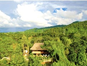 5 Days of Healing, Meditation, Holistic Therapies, Yoga, Energy Cleanse in Tayrona, Colombia