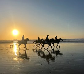 73 jours en stage d’équitation et de randonnée à cheval au sud d’Essaouira, Maroc - Photo 1
