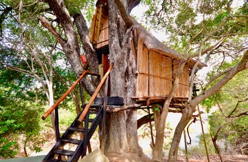 3 días de escapada a una casa en el árbol y lodge en safari por el Parque Kruger, Sudáfrica