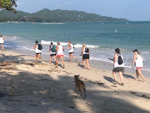 8 Tage G.I. Jane Fitness Bootcamp für Frauen auf Koh Samui, Surat Thani
