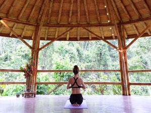 7 días de profesorado de yin yoga somático informado sobre trauma de 85 horas en La Fortuna, Costa Rica