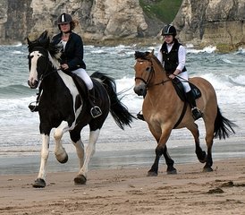 23 jours en stage d’équitation sur la célèbre côte de la Chaussée des Géants et North Antrim en Irlande du Nord, Roy - Photo 1