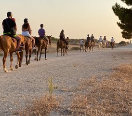 5 jours aventure équestre en Messénie, Grèce : lac, plage et montagne - Photo 2