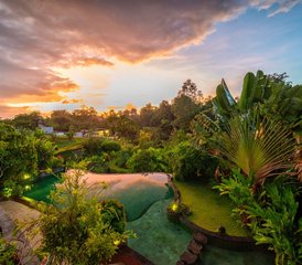 47 Day Eco-Luxury Healing Retreat, Bali, Indonesia - Photo 1
