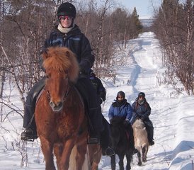 7 Tage Winter Pferdereiturlaub in Kiruna, Schweden - Photo 5