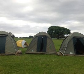 4 Tage Budget-Camping-Safari in Tansania: Serengeti und Ngorongoro - Photo 5