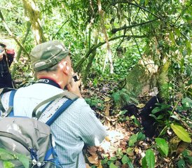 610 Tage Uganda Safari in den Nationalparks Murchison Falls, Kibale, Queen Elizabeth, Bwindi und Lake Mburo - Photo 1
