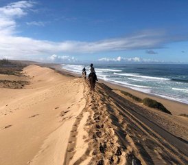28 Tage Ranchaufenthalt mit Dreitägigem Reitausflug zu Stränden, Wüste und Palmenhainen in Sidi Boulfdail, Marokko - Photo 1