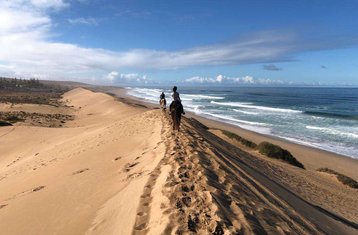 8 Day Ranch Stay with a Three Day Beaches, Desert and Palm Grove Riding Tour in Morocco
