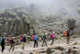 9 Day Mount Kilimanjaro Lemosho Route Trekking Tour in Tanzania
