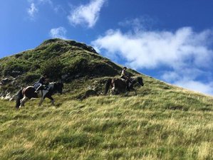 8 Day Crossing Kintyre ​Week: Adventure Horse Riding Holiday in Campbeltown, Scotland, UK