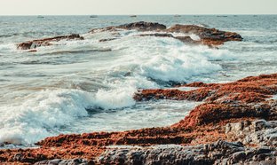 Devil's Rock  Retreats & Trips