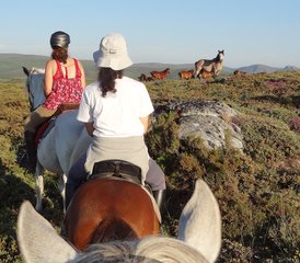 5 Day Gerês Wolf and Wild Horse Territory Horse Riding Holiday in Castro Laboreiro, Portugal - Photo 2