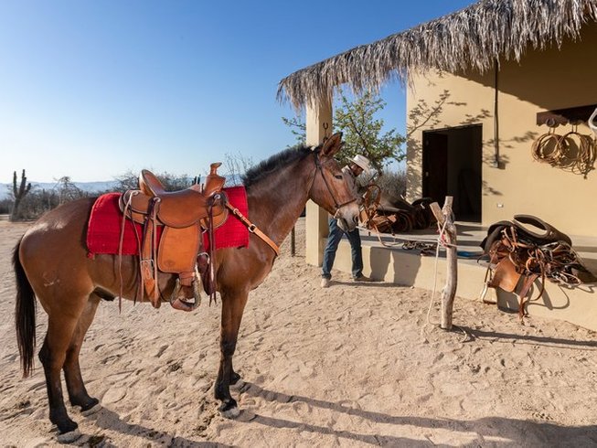 3 Day Ranch Adventure Camp: Hiking, Mule Riding and Ranch Workshops in ...