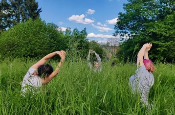 3 Tage Earth Solo Retreat mit Meditation und Yoga in den Ardennen