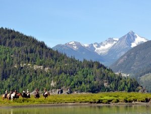 7 Tage Schafsbeobachtungs- und Naturschutzreitreise in Kanada