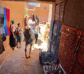 8 jours de randonnée équestre Découverte du Maroc : de la côte au désert - Photo 3
