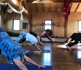 6 jours d'approfondissement yoga Iyengar, alignement corporel et méditation, Pyrénées, France - Photo 3