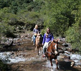 23 Day Andean Observatory Horse Riding Tour in Cusco Region, Peru - Photo 1