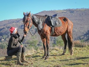 8 Day Christmas Celebration and Horse Riding Holiday in Asprieres, Occitanie