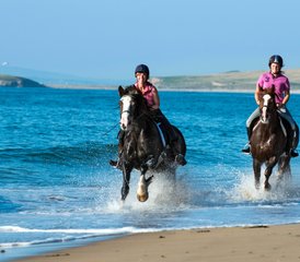 7-Daagse Atlantic Trail Week paardrijvakantie in Mullaghmore, County Sligo, Ierland - Photo 2