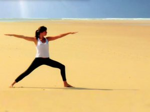 4 jours en week-end yoga et retour à l’essentiel au cœur de la nature landaise à Mimizan